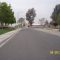 hibiscus street