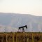 California Oil