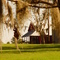 Lyndhurst plantation, Ashville Fla (11-2006)