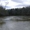 Ocmulgee River between Dodge's Old Lake and Boney's Ferry in February