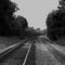 Railroad Crossing at Salmons, KY