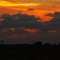 Kentucky Evening