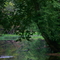 Drakes Creek
