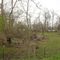 Ice storm Damage in Graves County KY