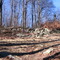 intersection with Appalachian Trail