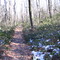 Appalachian Trail near Yellow Springs, 2nd Mountain