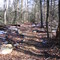 Appalachian Trail, ridge of 2nd Mountain
