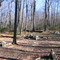 Yellow Springs coal mining settlement