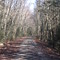 Old railroad trail, state game lands