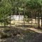 Cold Springs Hotel Foundation