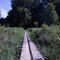 Marsh Boardwalk