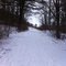 Swatara State Park Rail Trail in Winter