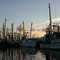 Trawlers in Oriental