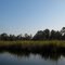 Kershaw Creek