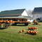Pumpkin-Festival
