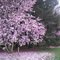 Dawes Arboretum, Heath, Ohio