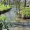 Fort Clark springs, Brackettville, Texas