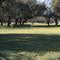 Fort Clark Springs