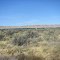 Sagebrush desert east of Mattawa