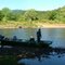 Norfork River