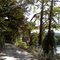 White River Trestle at Norfork, AR