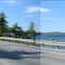 Castle Island Camps