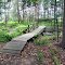 Torsey Pond Nature Preserve 1.JPG