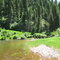 Fishing South Fork Clearwater River