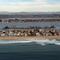 Balboa Island from 500 feet off the coast ofNewport Beach