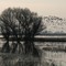 Merced National Wildlife Refuge