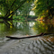 Trammel Creek