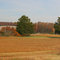 Kentucky Barn