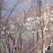Paden City from Buck Knob