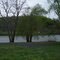 Ohio River bank