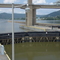 Looking south on the river.