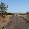 John Wayne Trail