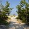 Secret Beach