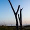 Fort Pierce Shore Line