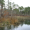 Sandy Creek