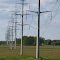 The Rite of Spring by poles (Pleasant Lake Rd)