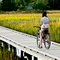 Girl on Bike