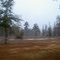 Ice Storm in Guyton