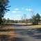 Whitesville Plantation March 2006