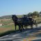 Amish Feller'