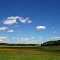 Corn Fields