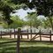 Camp grounds at Clark County Lake, Kansas
