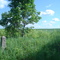 Old railroad milepost