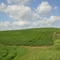 Hilly farm scene along Sakatah-Singing Hills Trail