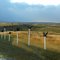 At the north end of the Enchanted Highway (just off Interstate 94)