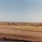 Prairie